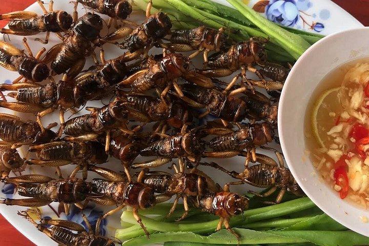 ダラットの田園地帯、ポンゴールと象の滝ツアー - 1 日