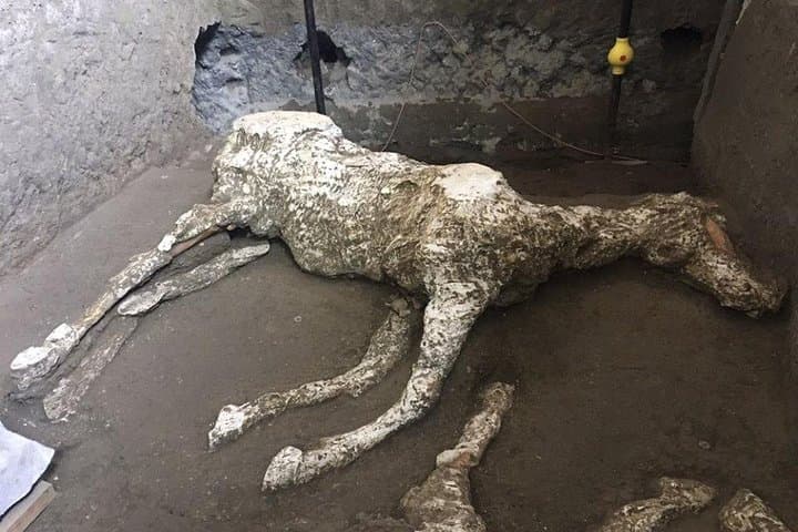 Pompeii and Amalfi Coast Day Trip from Naples
