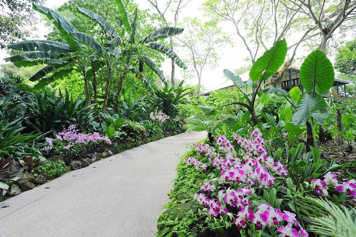 Stadstour in Singapore met orchideeëntuinticket