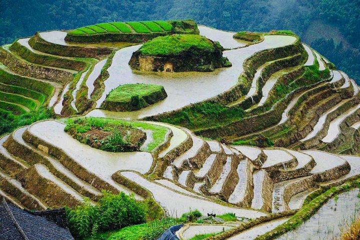 2-Day Private Tour to Longji Rice Terraces and Ping'an Village from Guilin