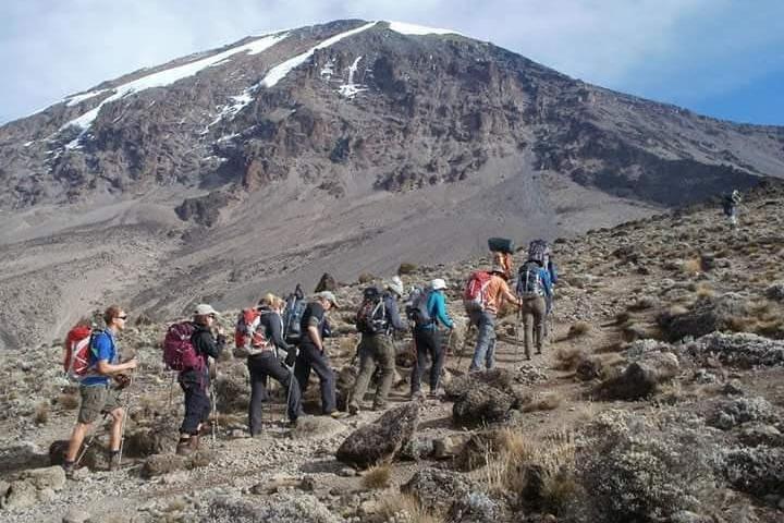 8-dages Mount Kilimanjaro Lemosho Route Trek