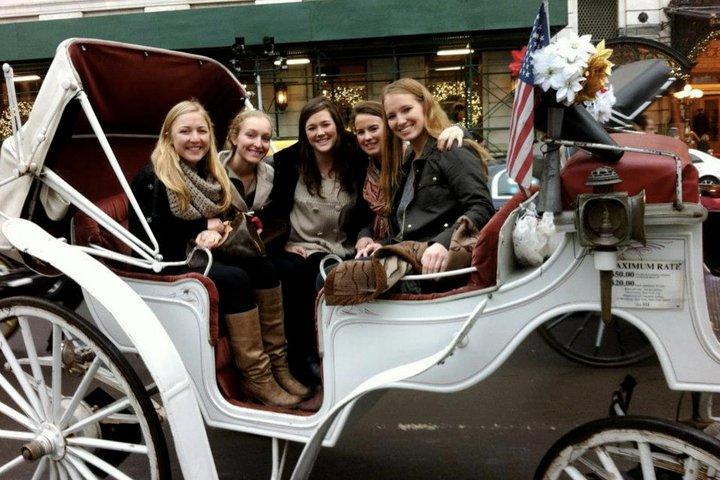 Central Park Private Horse and Carriage Tour
