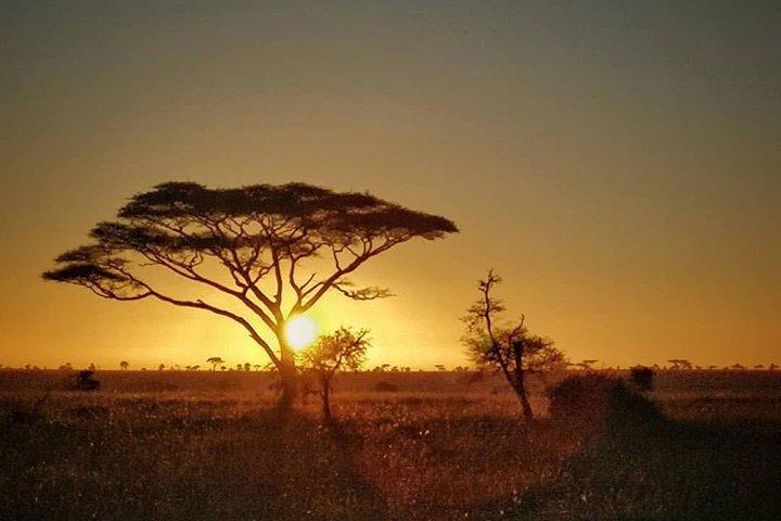 5 dagar Ngorongoro Highlands Trekking