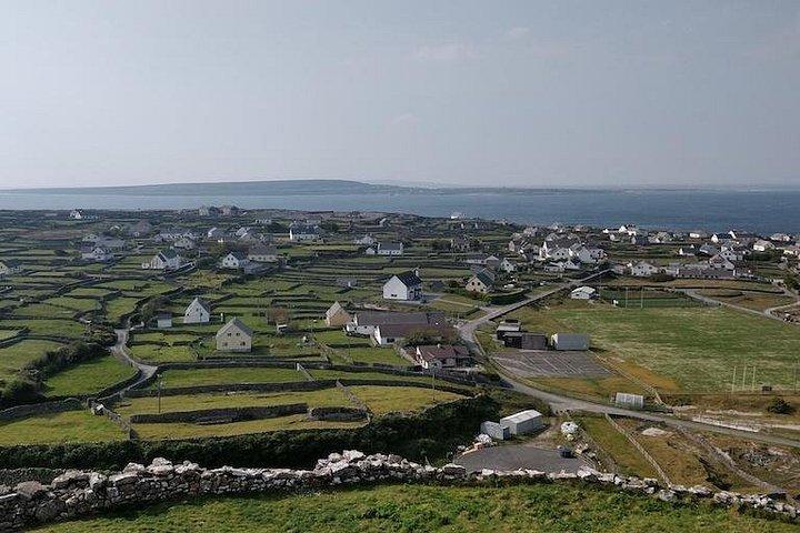 小グループ-ゴールウェイから1日で行くクリフクルーズとアラン諸島
