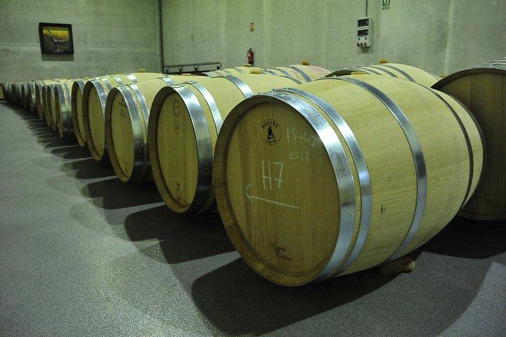 Ribera del Duero Weingüter Führung & Weinprobe ab Madrid