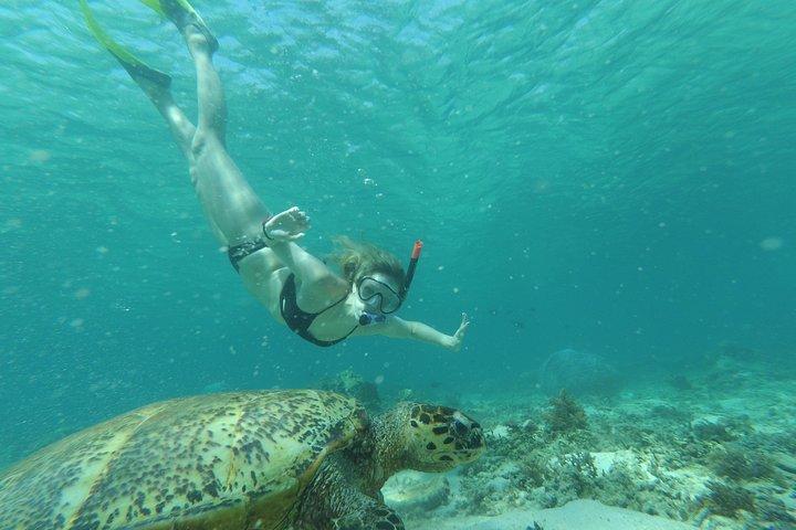 Mergulho com Tartarugas em Gili Trawangan