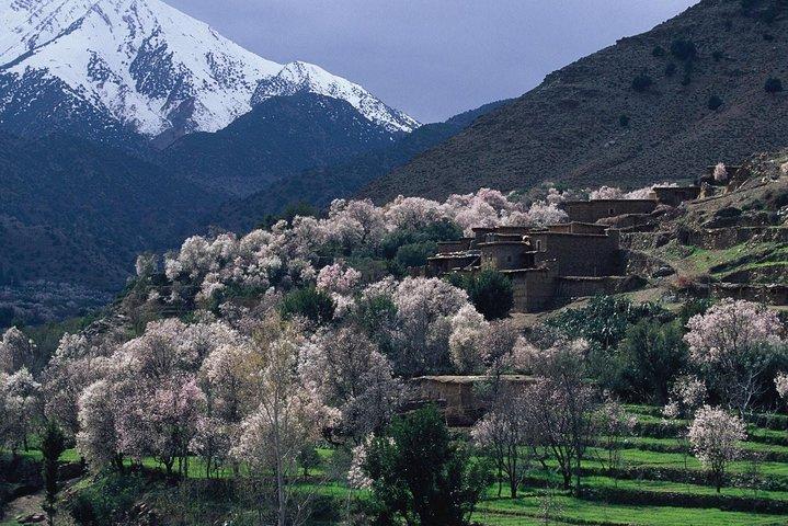 2 dagar Mount Toubkal Trek från Marrakech