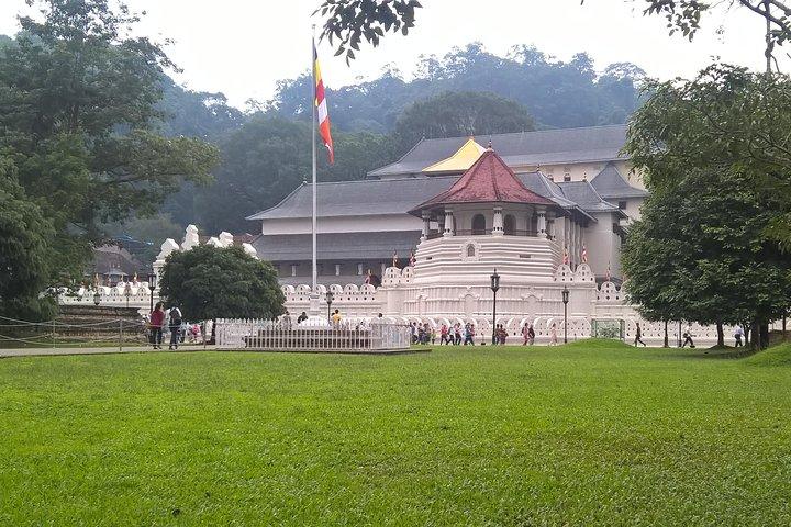 Kandy Day Tour Fra Colombo