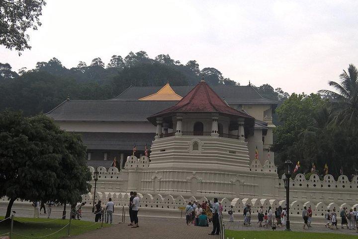 3 dagars Privet Tour till Kandy & Sigiriya från Colombo