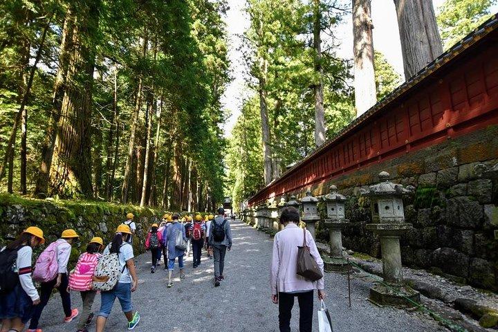 地元の日本人写真家ガイドによる東京発日光日帰り旅行
