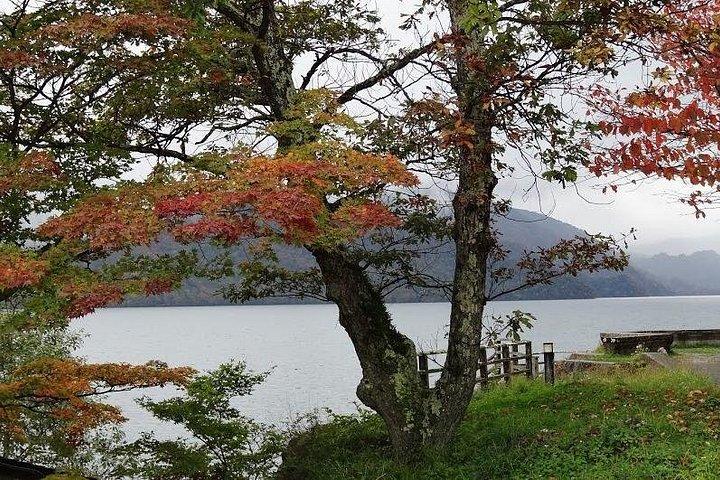 地元の日本人写真家ガイドによる東京発日光日帰り旅行
