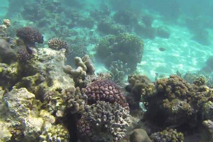 サンドバンクとクワレ島でのプライベート 1 日クルーズ