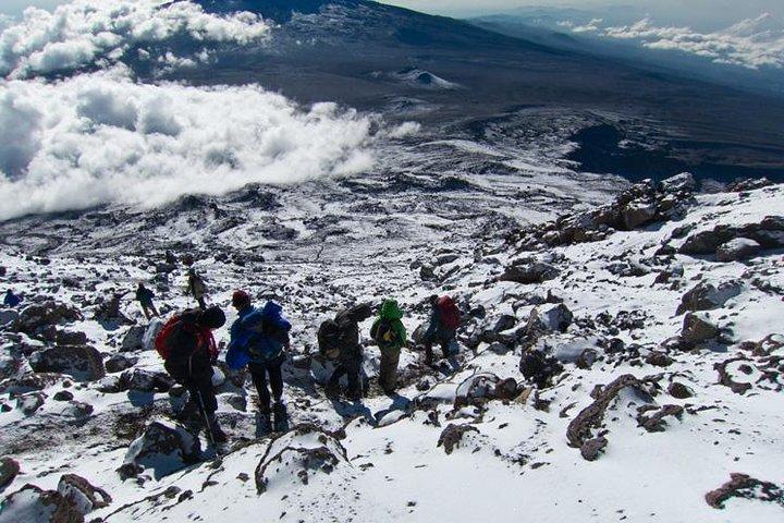 6 dage Mount Kilimanjaro Machame rute stigning