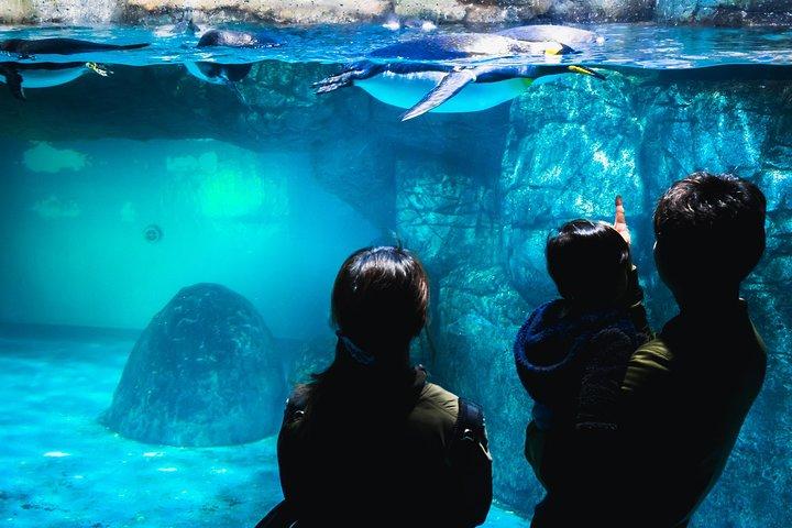 地元のような横浜：プライベート＆パーソナライズ体験2,3時間