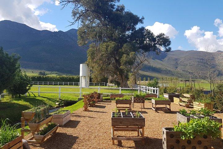 Scenic Private Wine Country Tour