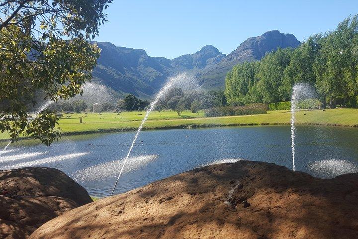 Scenic Private Wine Country Tour
