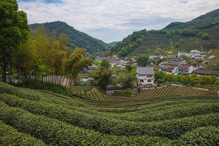 カスタマイズ可能なプライベートツアー:中国の昼食で上海から杭州へ