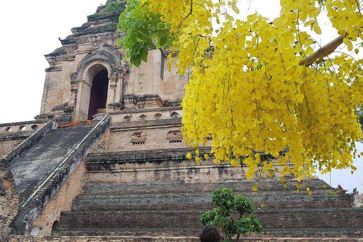 Privat Tour: Thailändsk kultur och erfarenhet med buddhismen