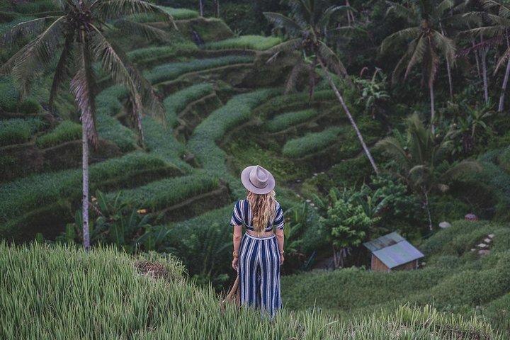Ubud: Monkey Forest, Jungle Swing, Terrazza di riso e Tempio dell'acqua