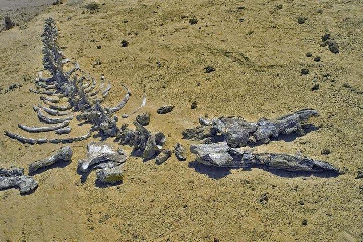 Dagstur till El Fayoum-pyramiderna från Kairo eller Giza