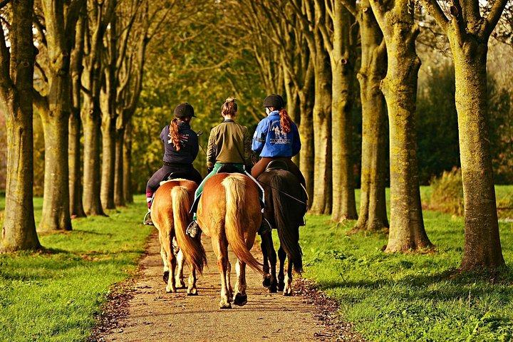 ランチと乗馬を楽しめるノルシネリア アート クッキング ラボ