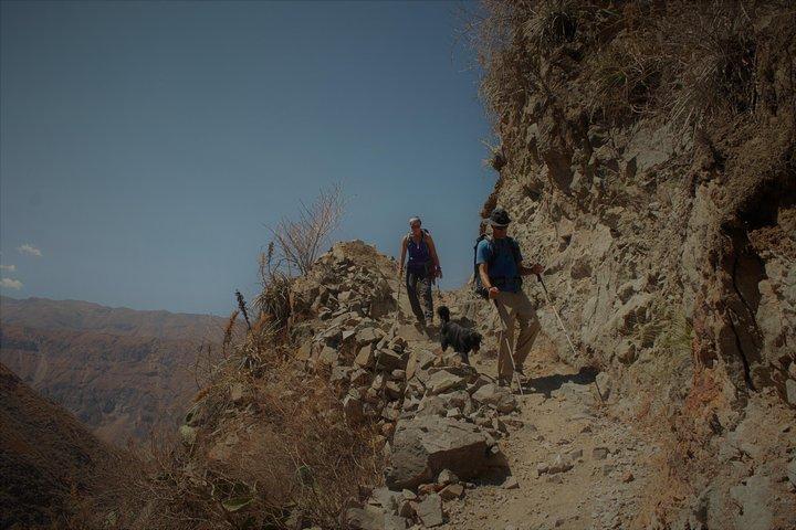 Colca Canyon Trekking - 3 Dage