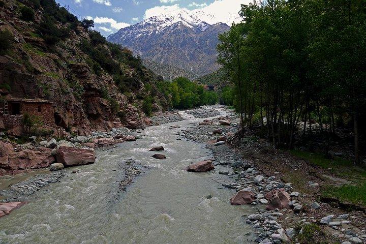 Day trip to the High Atlas and Ourika Valley: Private