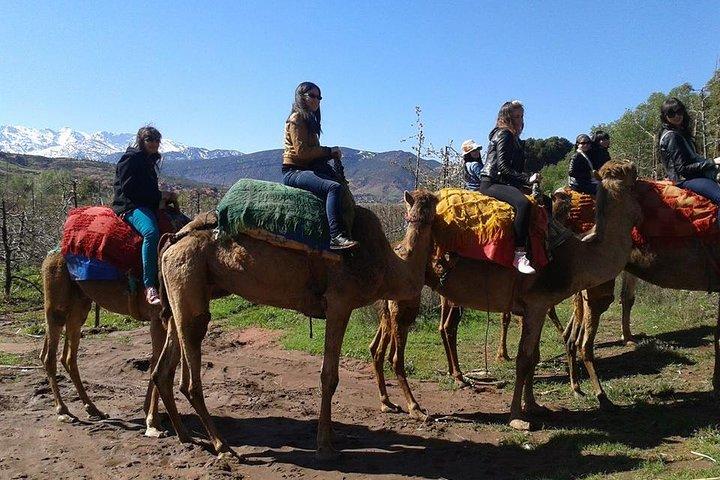 Private Day Trip da Marrakech: Camel Ride and Hike nelle montagne dell'Alto Atlante