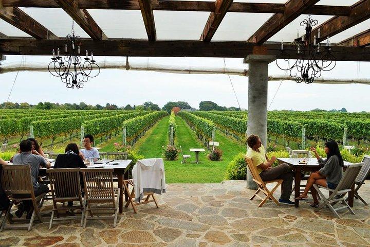 Excursão de Long Island Winery