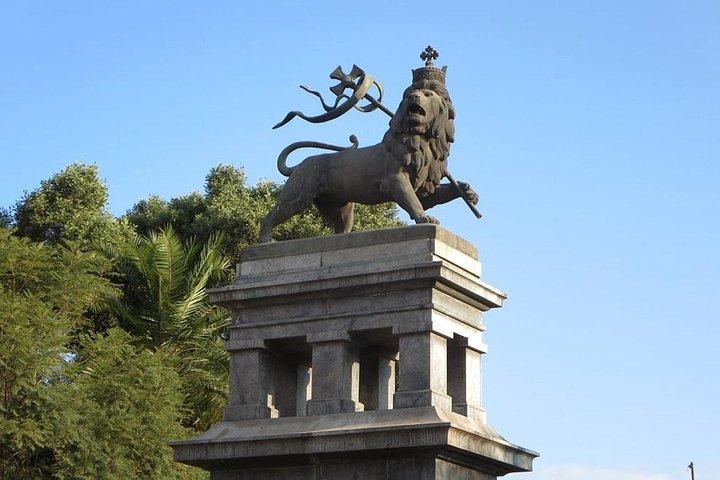 Volledige dagtour met in Addis Abeba