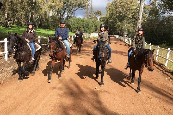 1h – Ruta a caballo