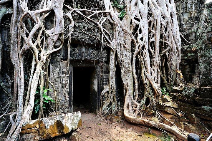 Templos de assinatura de Siem Reap descobertos