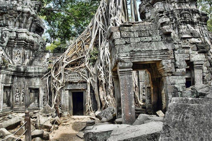 Templos de assinatura de Siem Reap descobertos
