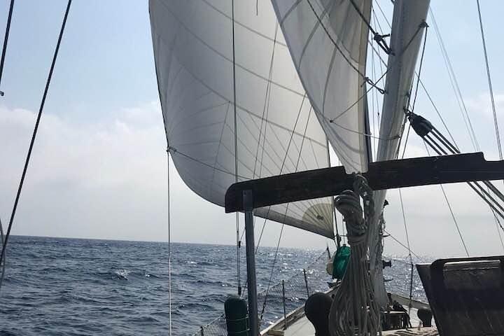 タイロナセーリングセイルボート旅行