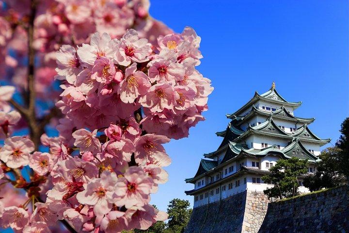 Excursion d'une journée à Nagoya avec un local - 100% personnalisé et privé