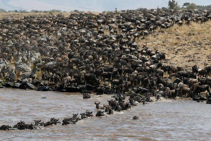 Private 9 Days Kenya Classic Lodge Safari
