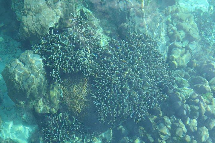 Une journée complète Kradan + 4 îles (en bateau à longue queue)