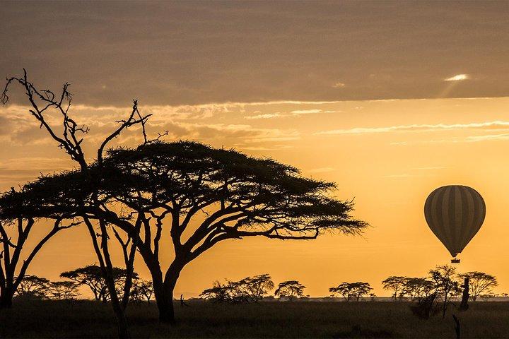 Serengeti-Ballonsafari und authentisches Buschfrühstück
