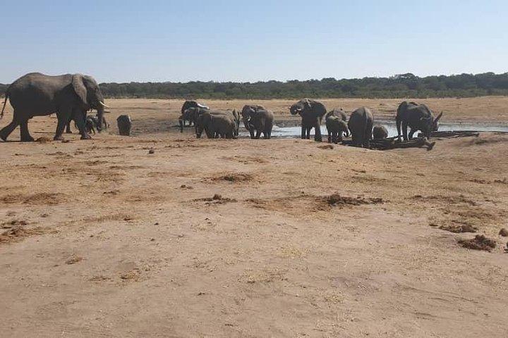 ビクトリア滝発ワンゲサファリ日帰り旅行