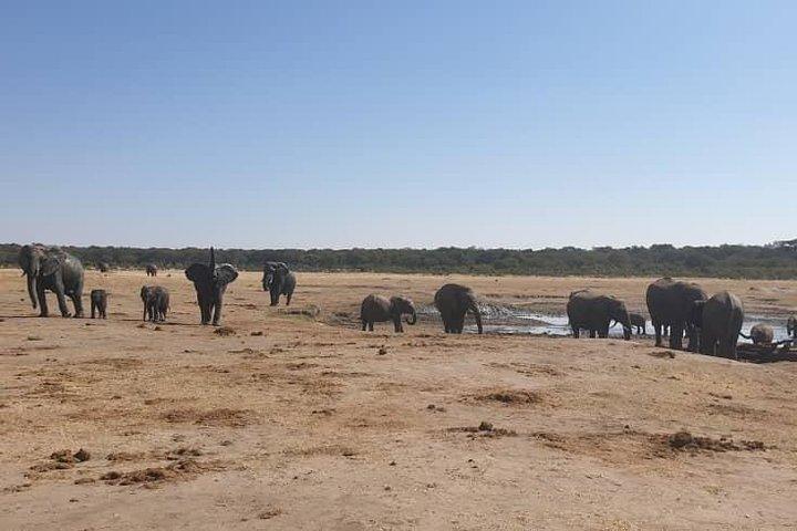 3 Notti Victoria Falls, Chobe Safari e Hwange National Park Safari