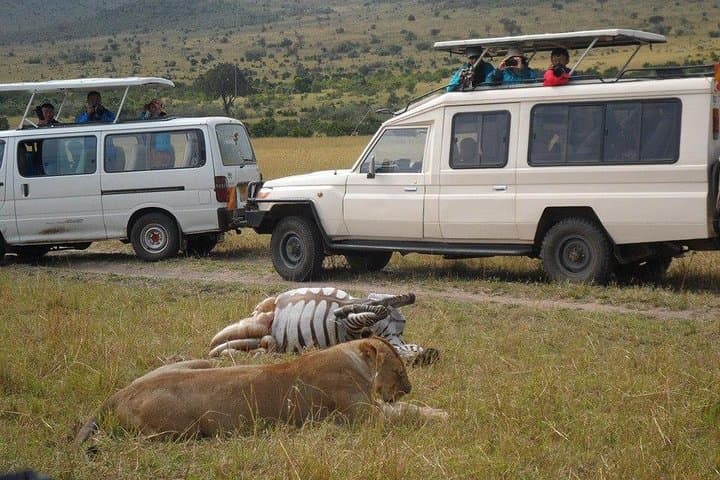 Nairobi National Park 5 Hours Tour