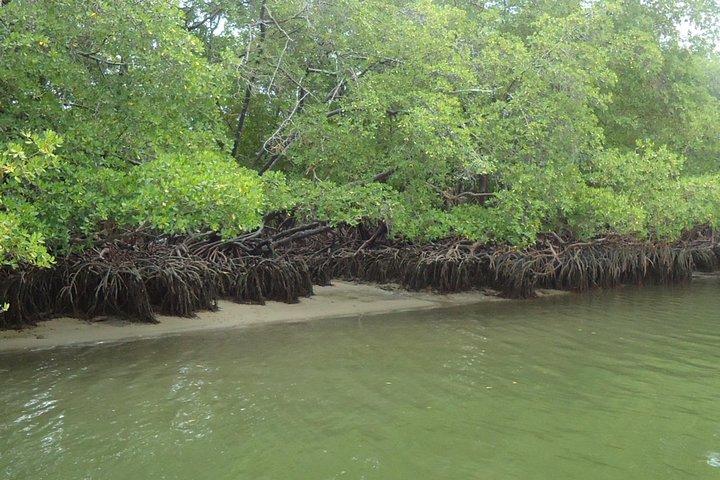 Visite à Praia De Carneiros