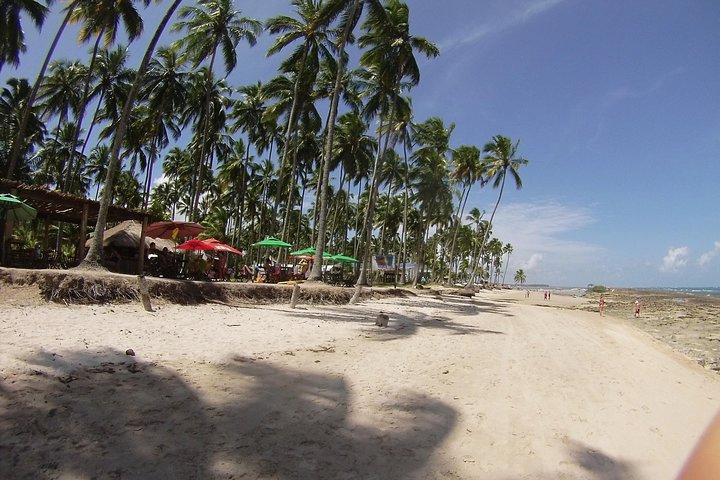 Visite à Praia De Carneiros