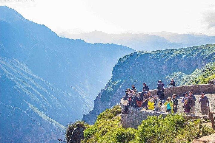 Depuis Arequipa : Visite du canyon de Colca avec Petit-déjeuner