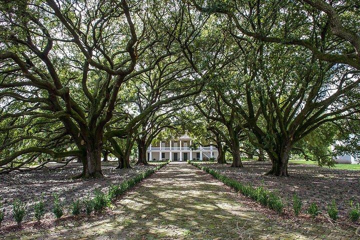 Whitney Plantation Tour com transporte de Nova Orleans