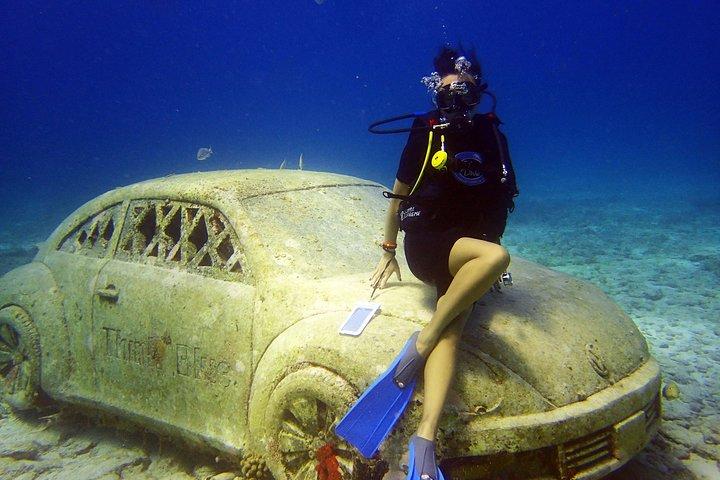 初心者のためのメキシコのカリブ海でのダイビング| 2タンク2ダイブ|オールインクルーシブ