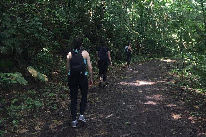 ソベラニア国立公園ハイキング