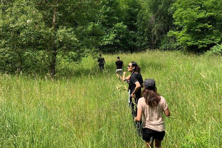 Truffle Hunting with Wine Tasting