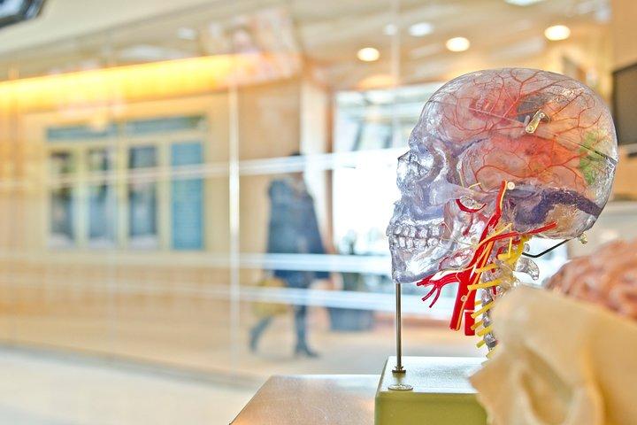 過去のロンドン医学の秘密: 馬に乗ったコレラと医者