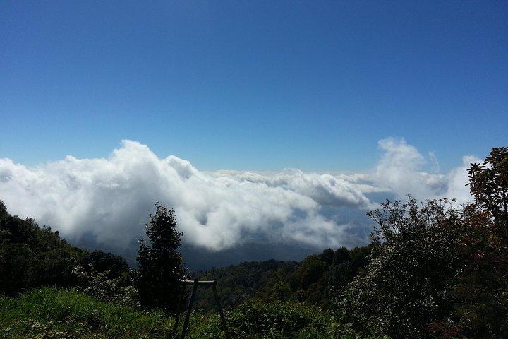 Doi Inthanon National Park and Hiking